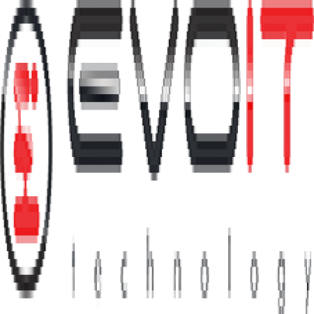 EvoIT Technology